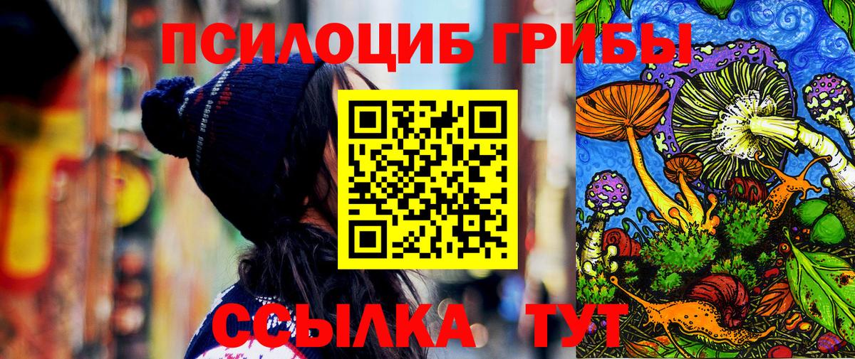 Галлюциногенные грибы GOLDEN TEACHER  Вход с VPN  Псилоцибиновые грибы GOLDEN TEACHER  Усть-Илимск 